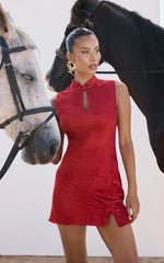 Atalia Mini Dress - Mandarin Collar Jacquard A Line Dress in Red